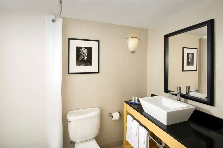 Bathroom 5, Best Western Alamo Suites, Bexar