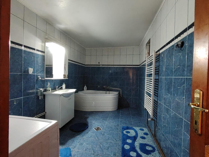 Bathroom 5, Casa Graur, Dragosloveni