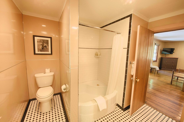 Bathroom 4, Historic Tapoco Lodge Resort, Graham