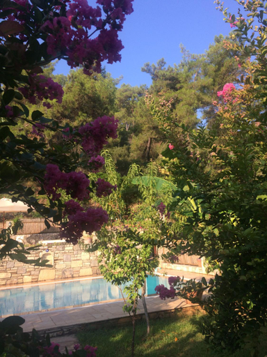 Others 3, Kamarca House Hotel, Köyceğiz