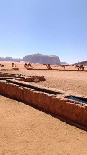 Others 4, Calm Camp, Aqaba