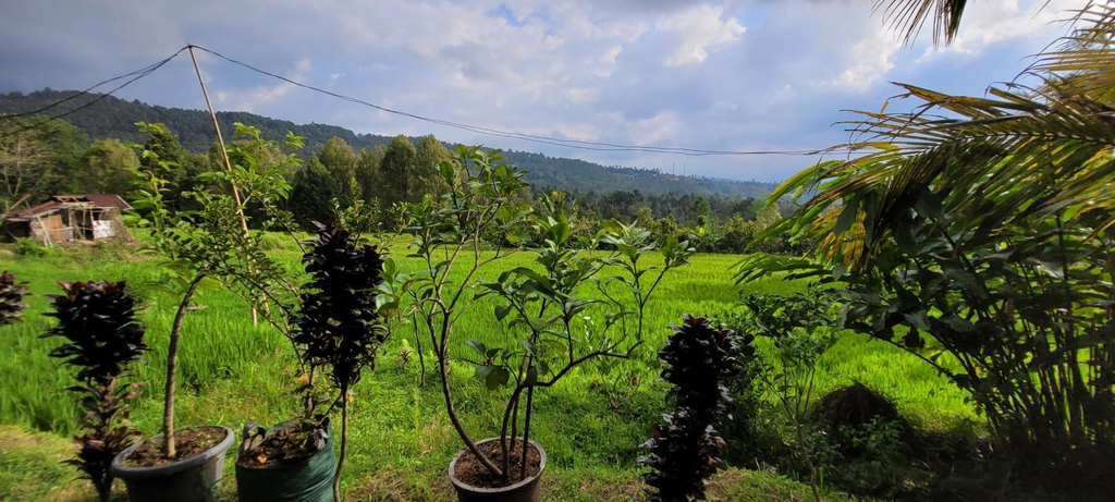 Others 2, Pondok Kalanganyar, Buleleng