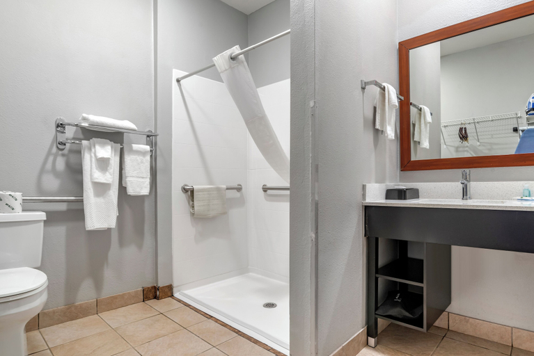 Bathroom 4, Quality Inn & Suites Demopolis, Marengo
