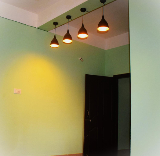 Others 5, Tulip, Kamrup Metropolitan