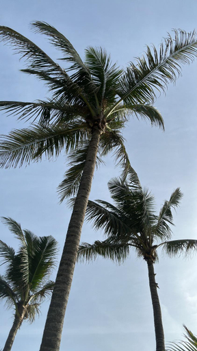 Others 2, Poya Villa Ahangama, Habaraduwa
