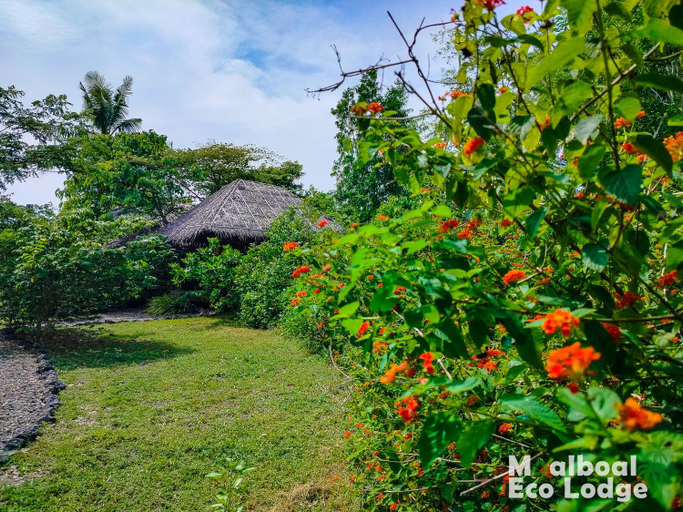 Others 5, Moalboal Eco Lodge, Moalboal