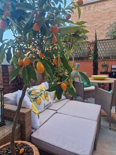 Bedroom 2, Vaticano 13 guesthouse, Rome