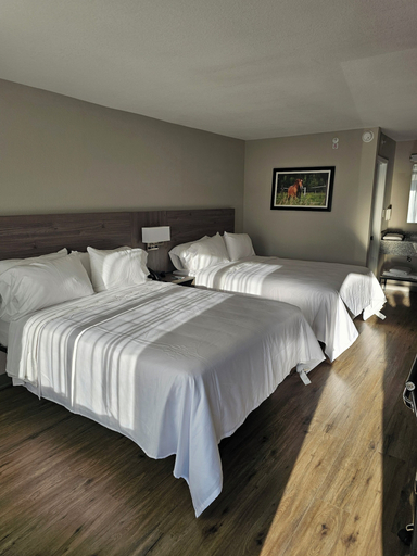 Bedroom 3, Quality Inn & Suites Ocala I-75, Marion