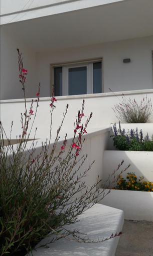 Others 2, Via alessandria, Lecce