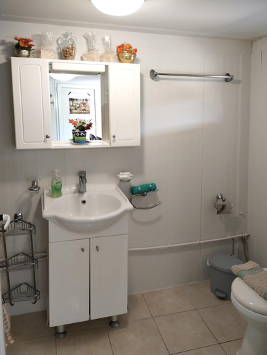 Bathroom 4, Zina s Cottage in Afetes, Thessaly