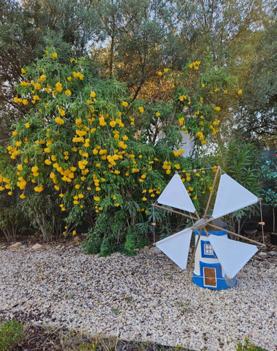 Others 5, Casa Aventura, Loulé