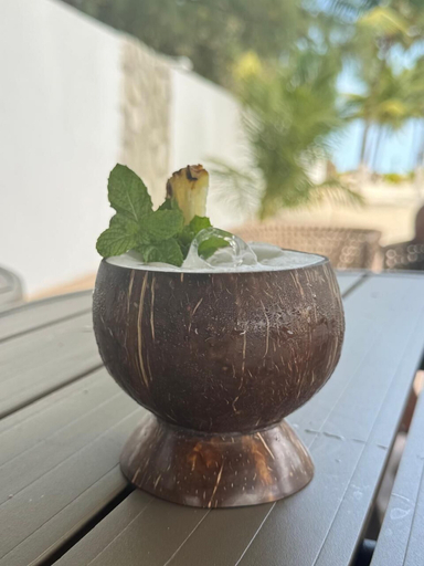 Food & Drinks 4, VILLA CANOE HOTEL, Goianá