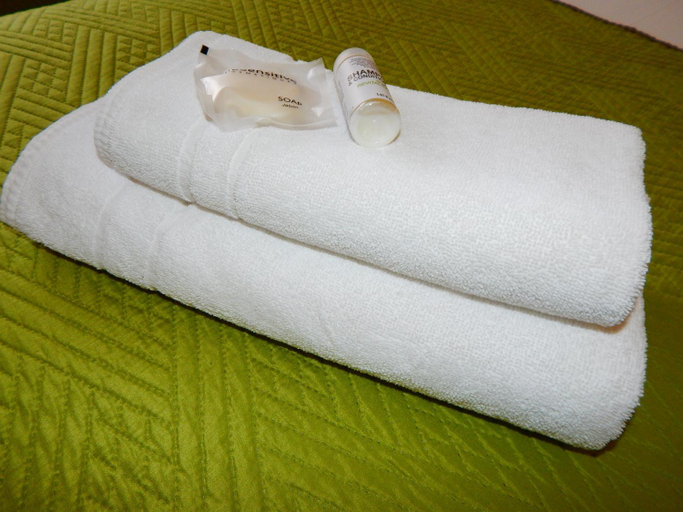 Others 4, Hostal Buenavista Patagonia, Magallanes