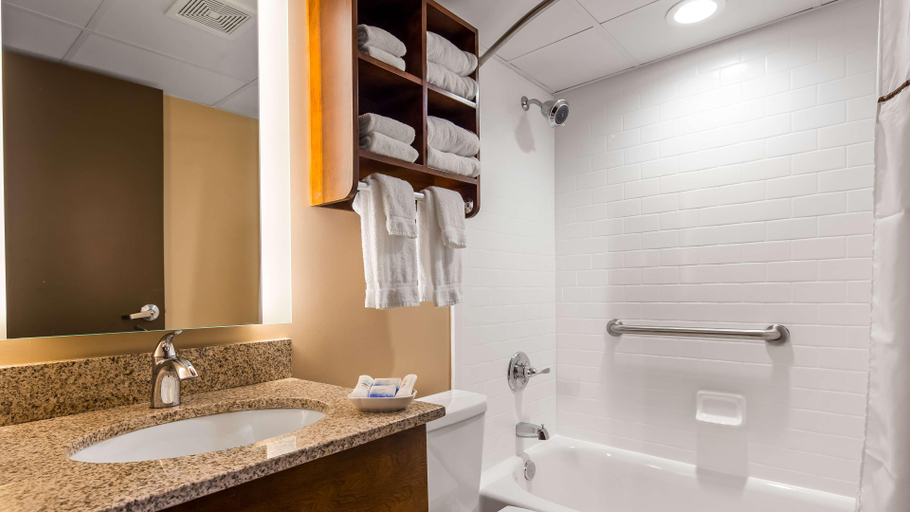 Bathroom 4, Radisson Hotel St. Paul Downtown, Ramsey