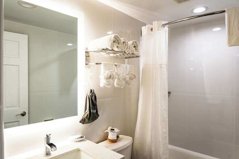 Bathroom 4, Whitman Motor Lodge, Suffolk