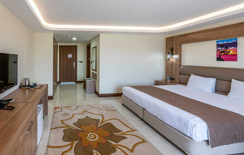 Bedroom 5, Dudu Konak Hotel, Gerede