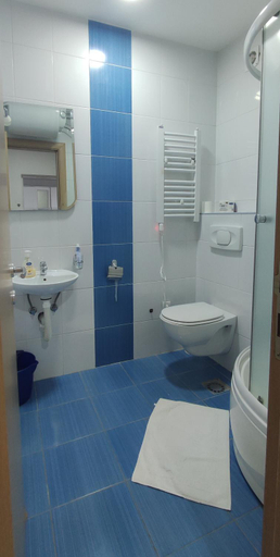 Bathroom 4, Apartments 1A JollyKop, Raška