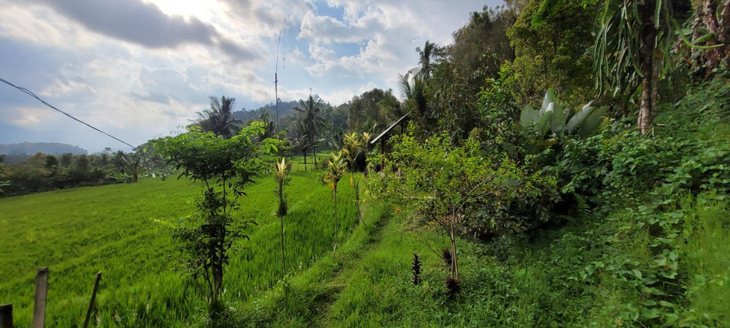 Others 5, Pondok Kalanganyar, Buleleng
