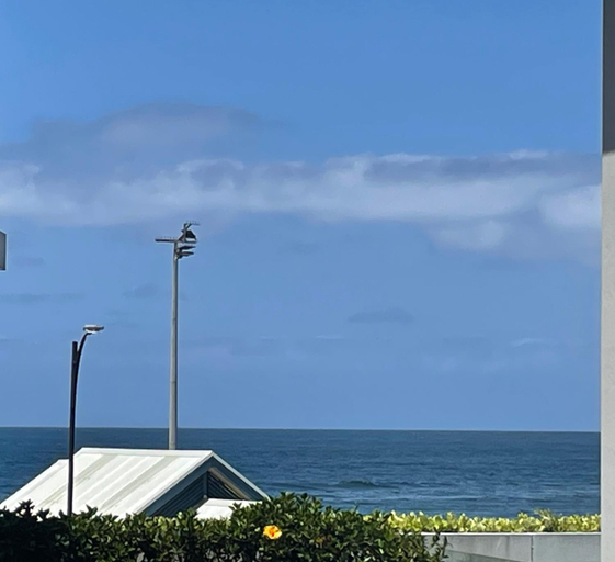 View, Shellharbour Haven, Shellharbour