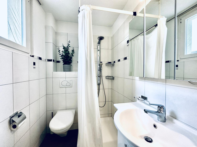 Shower, Business Apartment in Derendingen, Wasseramt