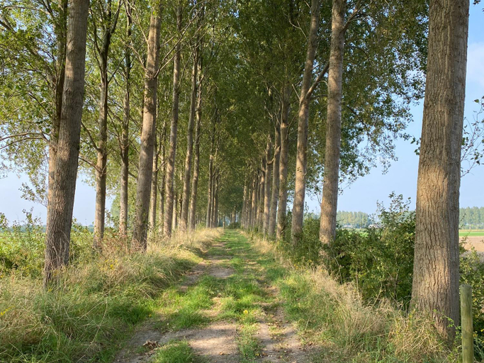 Others 3, De Zeeuwse Tobbe, Borsele