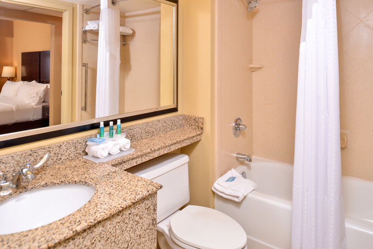 Bathroom 3, Holiday Inn Express & Suites BUFFALO DOWNTOWN - MEDICAL CTR by IHG, Erie