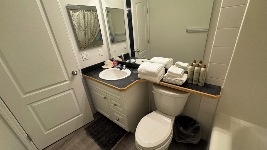 Others 5, MainFloorCondo CozyFurnished Independent, Division No. 11