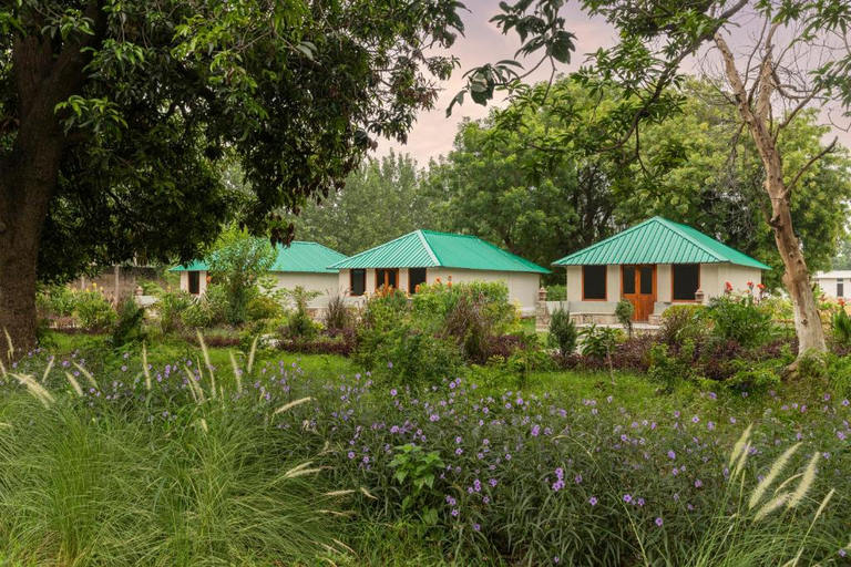 Bedroom, ZANA Forest Resort Ranthambore, Sawai Madhopur