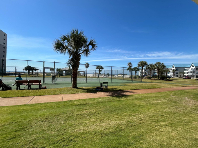 Others 4, Plantation Palms 6103, Baldwin