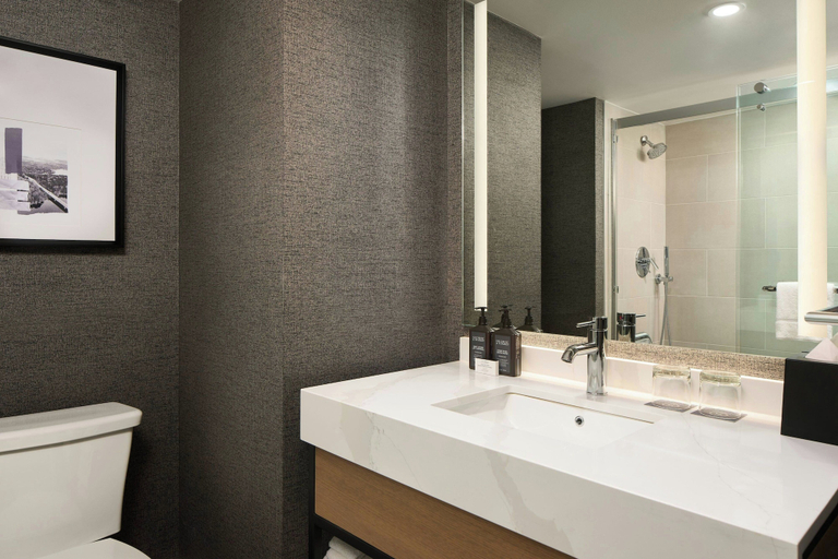 Bathroom 4, Sheraton Baltimore North Hotel, Baltimore