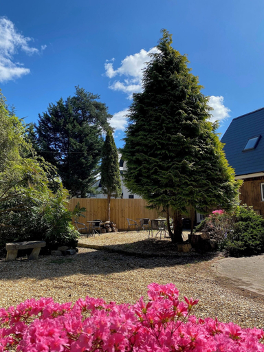 Exterior & Views 2, Petherton Cottage Studios, Dorset