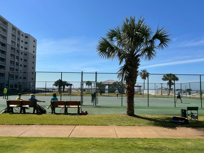 Others 3, Plantation Palms 6103, Baldwin