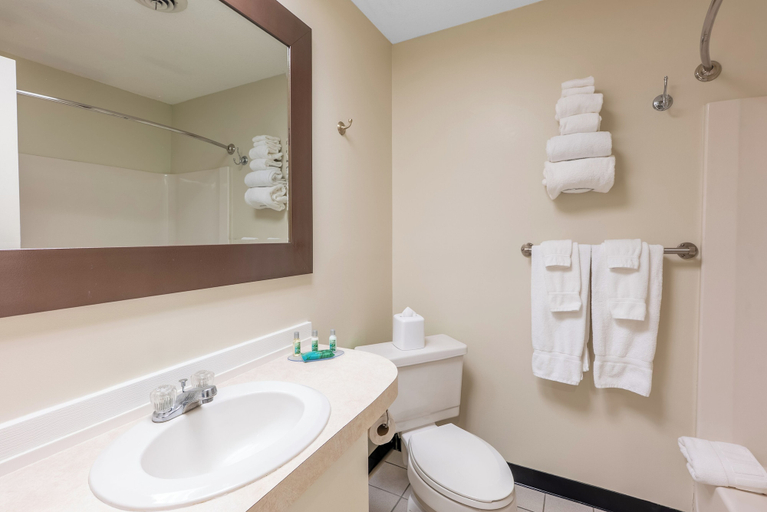 Bathroom 4, Fireside Inn & Suites Gilford, Belknap