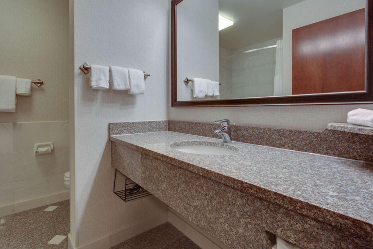 Bathroom 4, Drury Inn & Suites Near Forest Park, Saint Louis