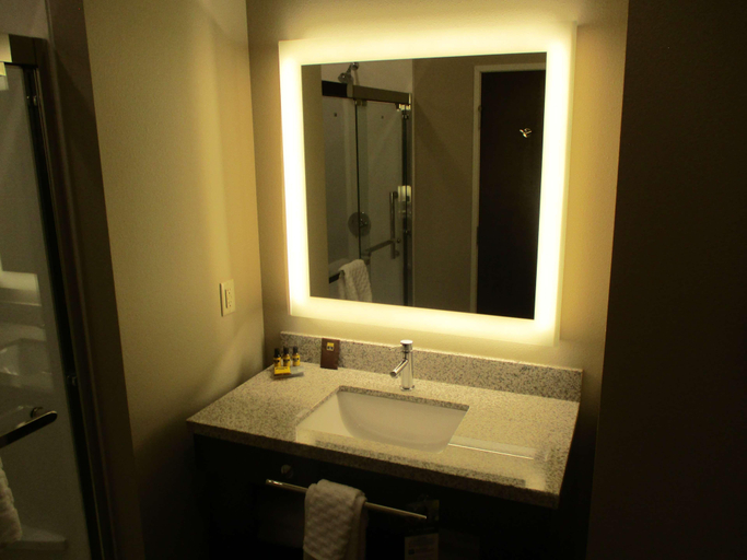 Bathroom 4, Best Western Plus Lakeview Hotel, Lake