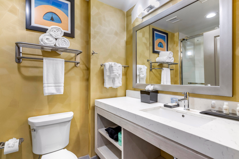 Bathroom 5, Hotel 1914 - Historic Alamo Riverwalk, an Ascend Collection Hotel, Bexar
