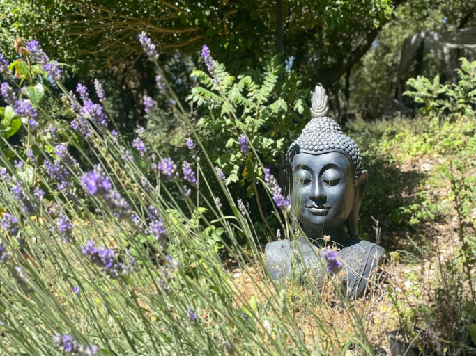Others 3, La Vie Est Belle En Provence, Var