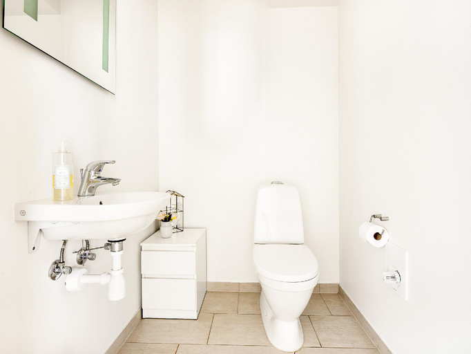 Bathroom 2, Gorgeous and Bright Centrally Located Four-bedroom Apartment, Copenhagen
