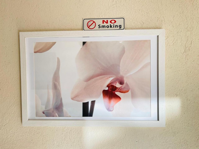 Others 5, Druza's guesthouse, Bojanala