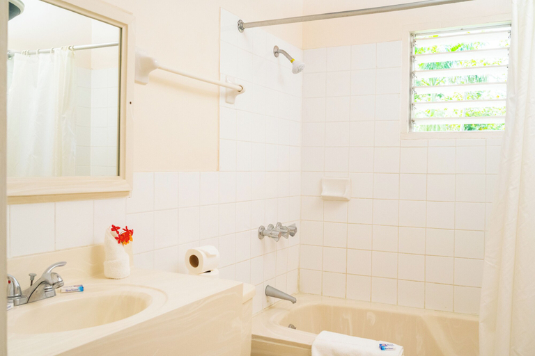 Bathroom 4, Shields Negril Villas