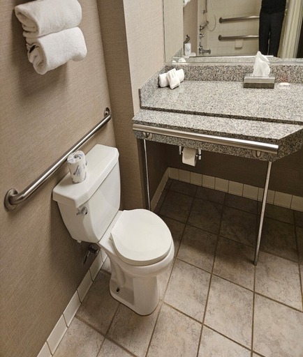 Bathroom 5, Nugget Casino Resort, Washoe