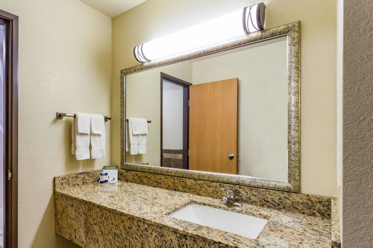 Bathroom, アメリックイン バイ ウィンダム ディキンソン, Stark