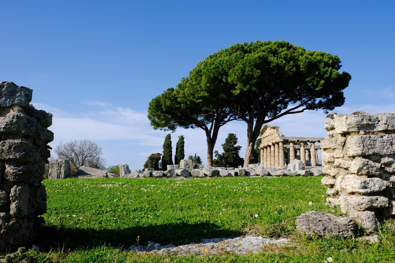 Others 4, La Laura di Paestum - case vacanze, Salerno