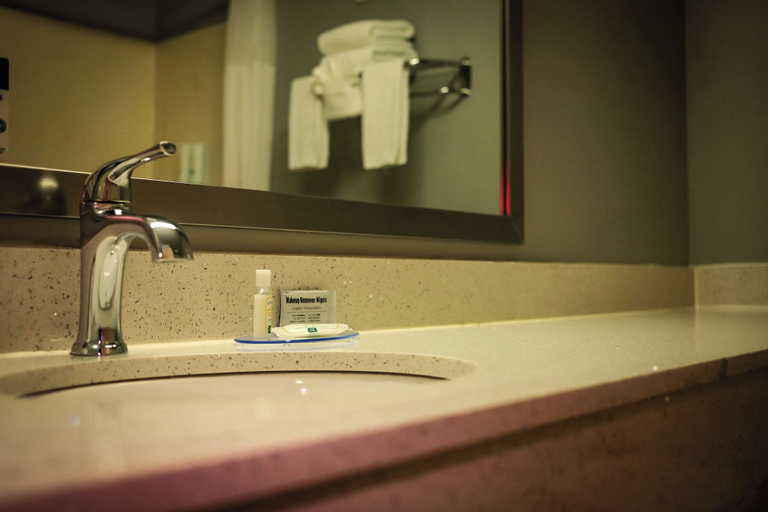 Bathroom 4, Quality Inn Colorado Springs Airport, El Paso