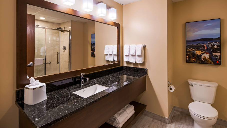 Bathroom 4, Best Western Plus St. John's Airport Hotel, Division No. 1