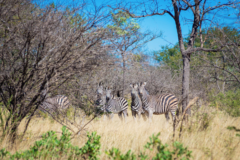 Others 3, Dakeni Game Farm, Umguza
