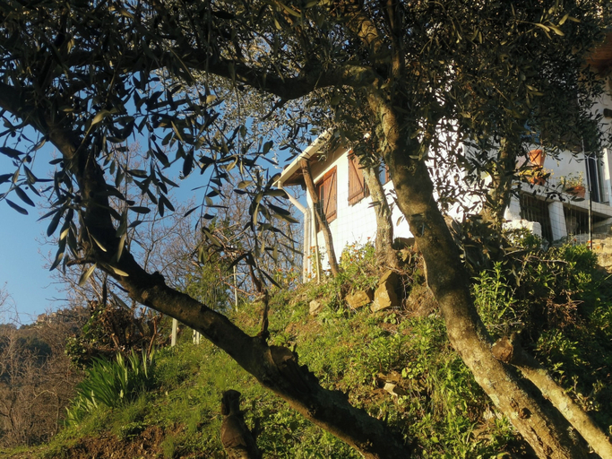 Others 5, Cozy Cottage Retreat in Bajardo, Imperia