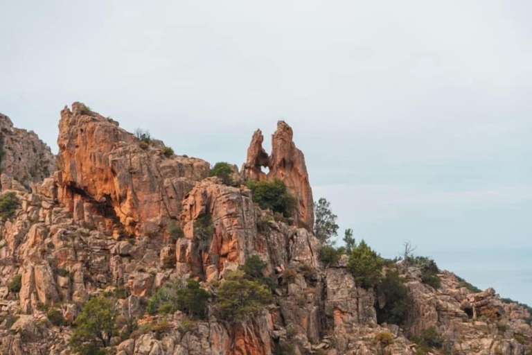 Others 5, Chalet Zen, Corse-du-Sud