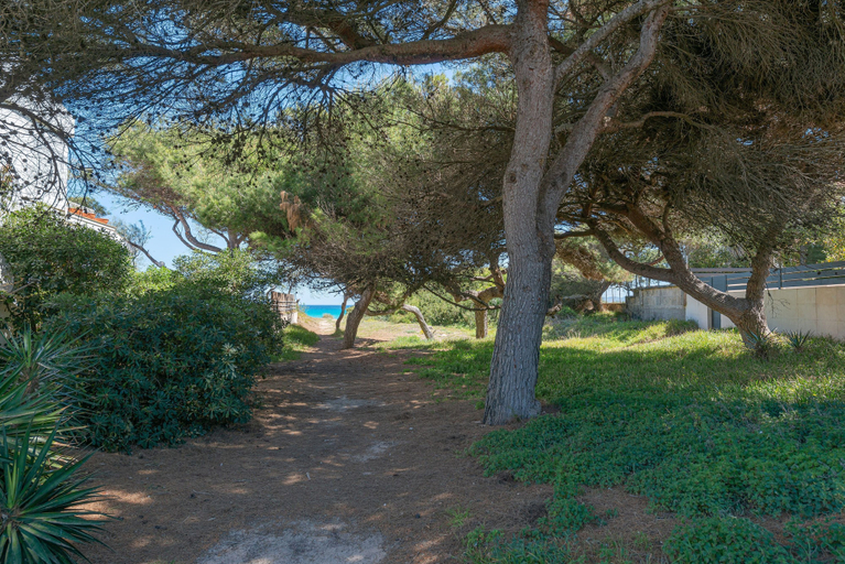 Room 3, Villa Canta in Mallorca, Baleares