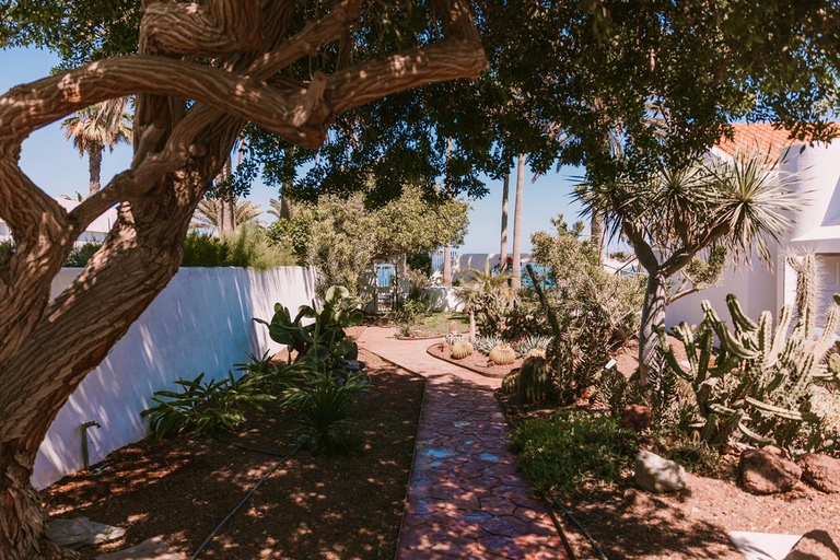 Garden 2, Sierra del Mar, Las Palmas